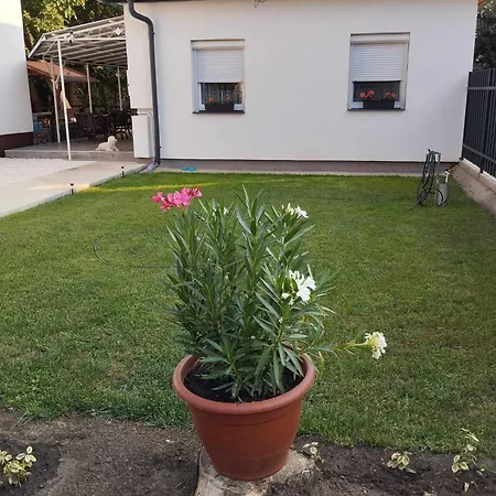 Stella Case de vacanță